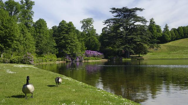 National Trust: Claremont Landscape Garden - Open Space - visitlondon 