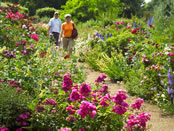 Hyde Park. Copyright Britain on View