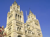 Natural History Museum. Copyright Britain on View