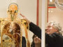 A crowd examine a skeleton at the Wellcome Collection