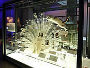 An albino peacock in the Science Museum's new Who Am I gallery