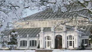 Winter at Kew Gardens. RBG Kew