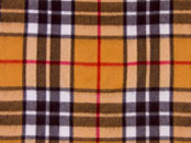 Copyright Burberry