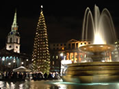 Trafalgar Square is the centrepiece of London's spectacular Christmas display