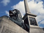 Trafalgar Square lion statue and Nelson's Column