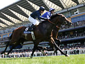 Royal Ascot