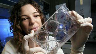 Clinical research in the golden triangle