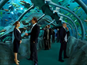 London Aquarium