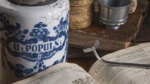 To Fetch out the Fire: Reviving London, 1666