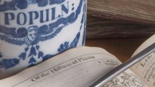 Fire! Plague! Revolution! London 1666 - Capital of Calamities