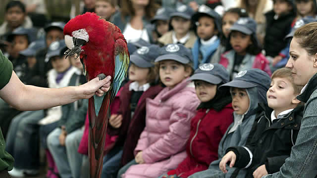 See the Animals in Action show at ZSL London Zoo