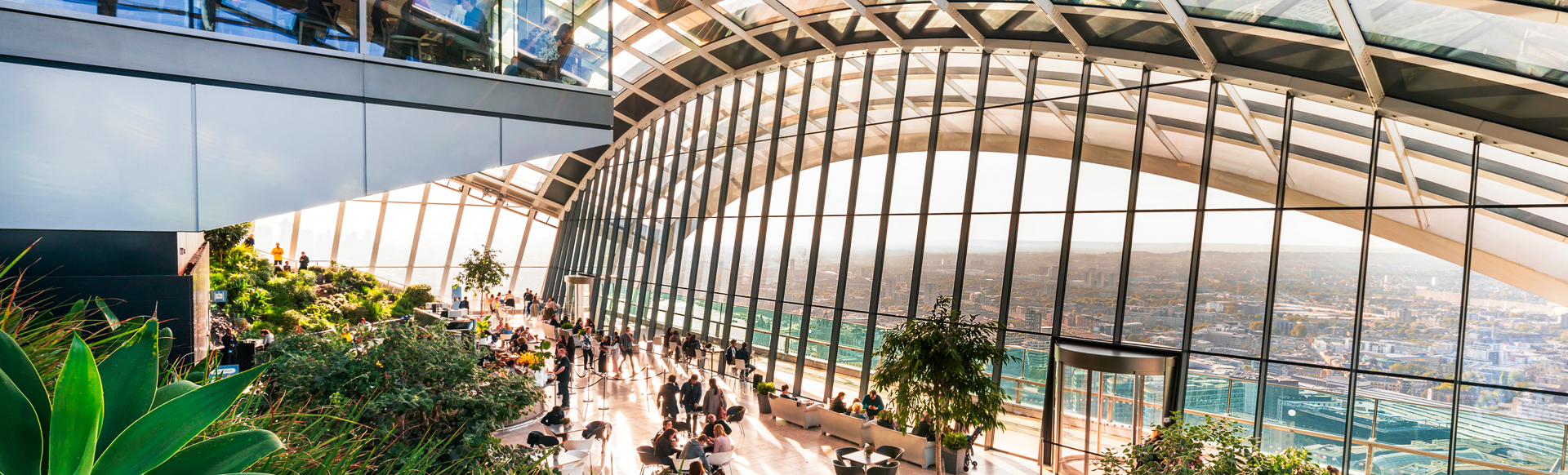 Sky Garden top level, with green plants in the front and a beautiful view over the city.