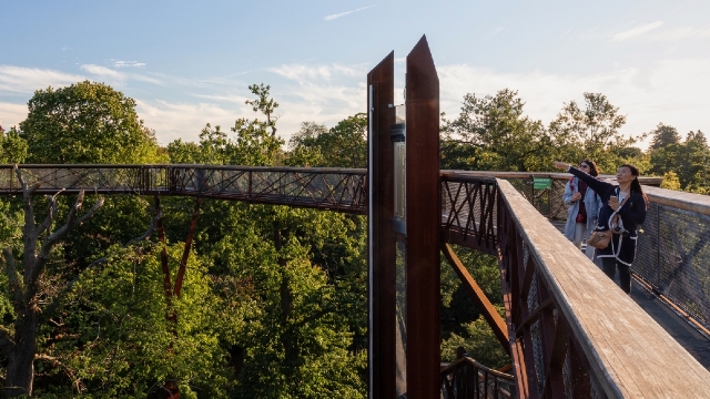 Two people admiring the tree-top view from this elevated walkway.