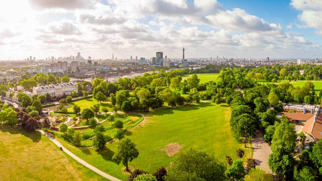 Sweeping view of open green parkland with trees and the London skyline.