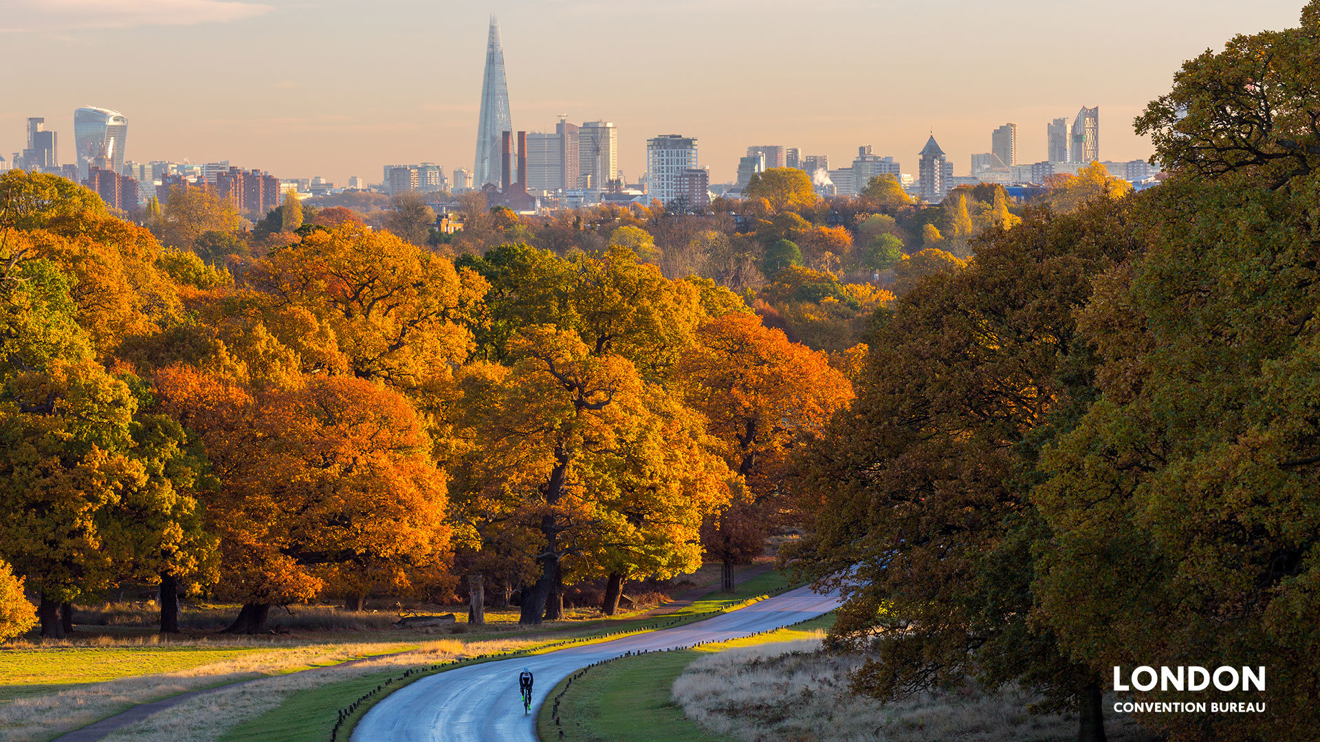 Orange trees in autumn at Richmond park and the London skyline peaking in the background.