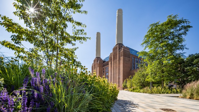 A view of Battersea Power Station against a sunny blue sky, with tall trees and purple flowers either side of it