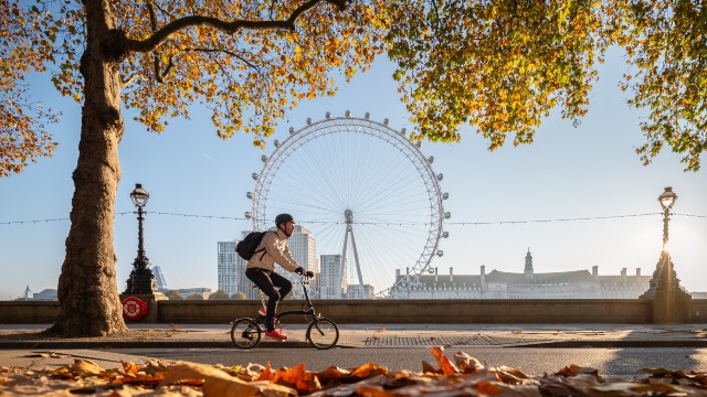 A cyclist rides in front of the London Eye on a sunny winter day