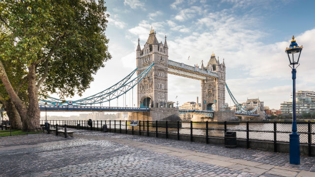 A photo of the Tower Bridge in London with a green leafy tree in the left hand corner and blue skies above.