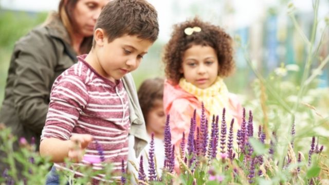 Children wonder at the flowers in the gardens of the Queen Elizabeth Olympic Park in London.