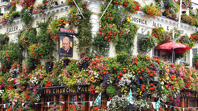 The exterior of The Churchill Arms, which is covered in hanging baskets, shrubs and flowers, with a pub sign showing Winston Churchill's face.