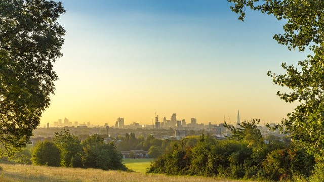 The London skyline on a sunny day framed by trees and grassy spaces on Hampstead Heath. 