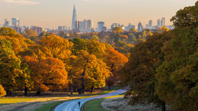 Coronavirus En Londres Consejos Y Ultimas Noticias Visitlondon Com