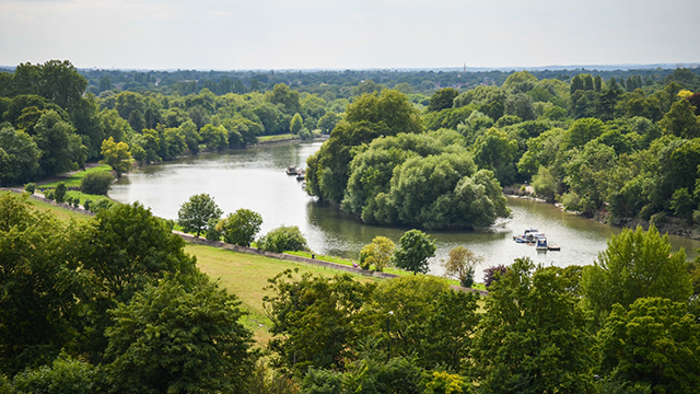 Looking down over the Thames from Richmond Hill, with an island in the middle of the river covered in trees, and trees and meadows to the side of the river.