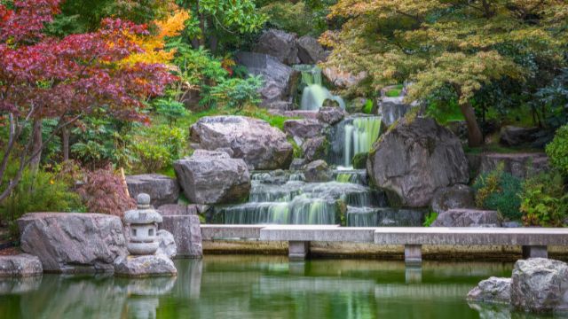 A garden feature of plants and water at the beautiful Kyoto Garden in Holland Park in London