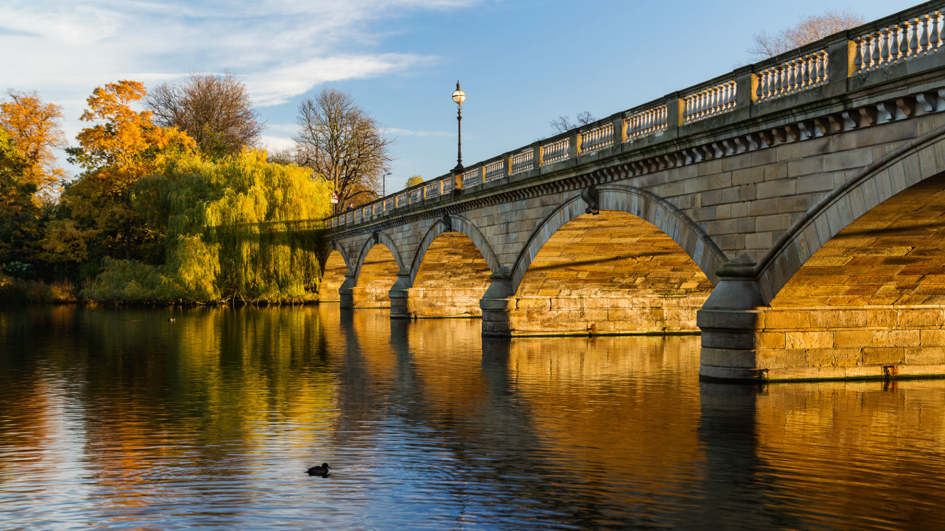 Autumn sun shines over Hyde Park