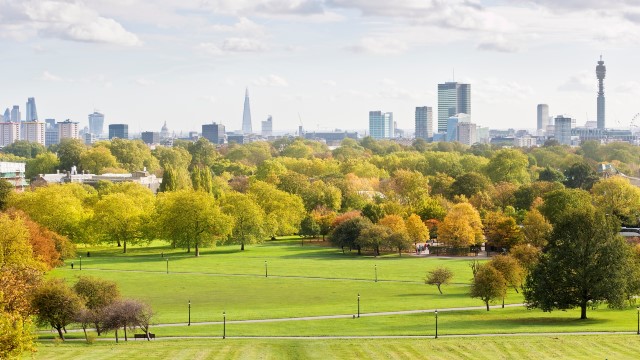Panorama of London with fields of grass and trees in sunshine. 