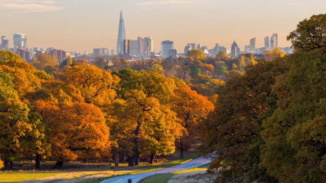 Autumn views of London's skyline in the distance from Richmond Park on a sunny day
