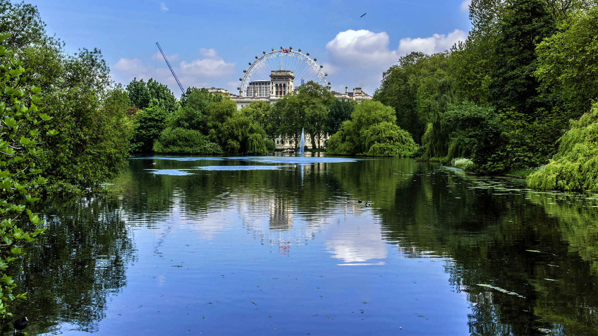 Looking across the lake at St James's Park on a sunny day. The park is lined with green trees, and the London Eye is in the background - all of which are reflecting in the water.