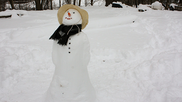 A snowperson wearing a staw hat and a scraf, with a carrot nose and buttons, with snow in the background.