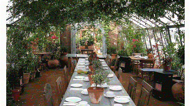 A long table with white plates and plants is set within a leafy glasshouse.