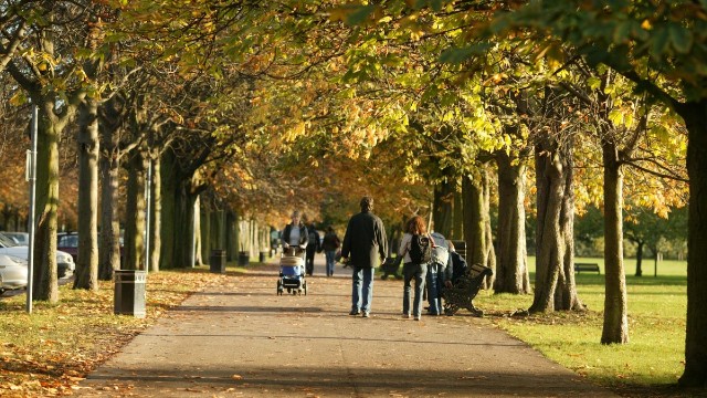 People walk along a tree-lined avenue. The leaves are green and gold and just beginning to fall.
