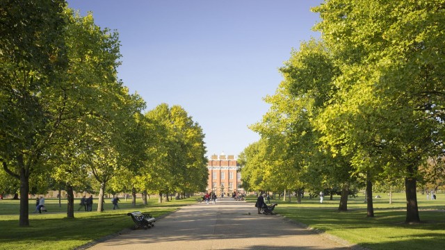 View of Kensington Palace down an avenue of trees. 