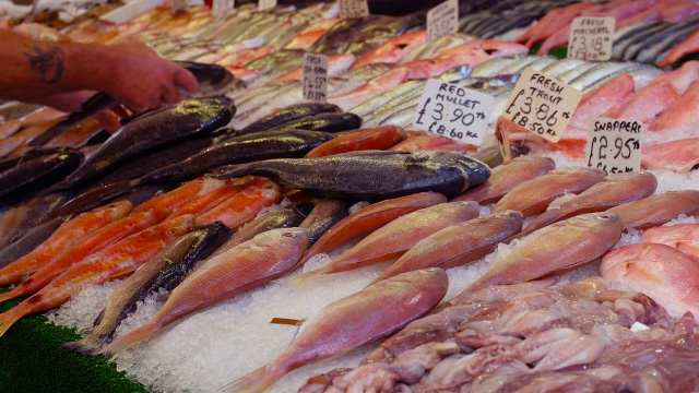 A selection of fish for sale at Brixton Market