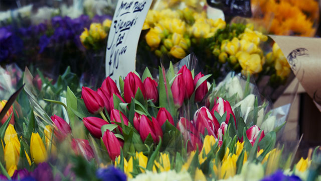 A selection of pink, yellow, orange and purple flowers on display at Columbia Road Flower Market in London.