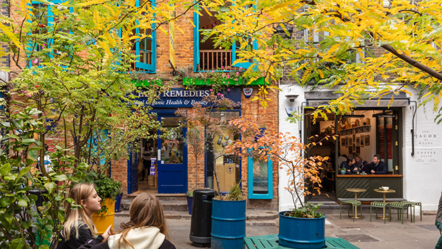 Two ladies sit on a bench in the courtyard at Neal's Yard, with trees surrounding them and the colourful blue window frames of shops in the background.