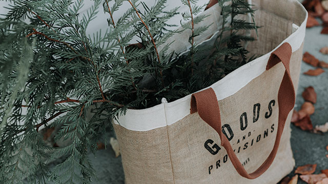 A shopping bag containing a plant
