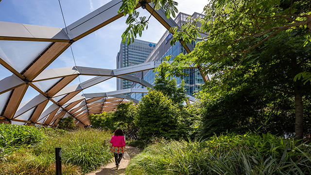 A woman is seen walking through the gardens of Crossrail Place with a view oupon surrounding skyscrapers.
