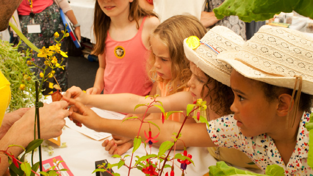 Children looking at and touching colourful plants and flowers at Kew Gardens