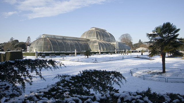 The glass Palm House in the background, with a blanket of snow and trees in the foreground on a clear day.