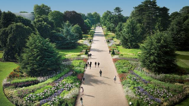 A high-angle view of people walking down the Great Broad Walk Borders in Kew Gardens on a sunny day.