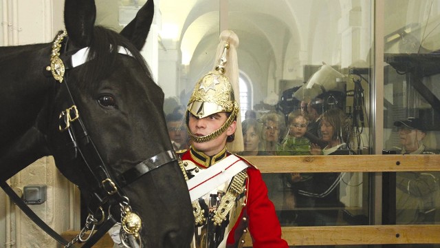 A horse guard stands with his horse as tourists watch from behind a screen.
