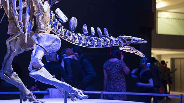 The skeleton of a dinosaur is lit in a blue light, in a darkened room, as people chat in the background during one of the 2019 Natural History Museum Lates events.