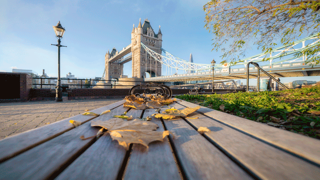 Two images of Tower Bridge, one from the viewpoint of a bench covered with autumn leaves and one  from above, with a view of the Thames and the sun going down.