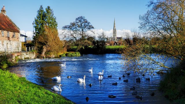 View on the river with swans and Salisbury and its cathedral can be seen on the background.