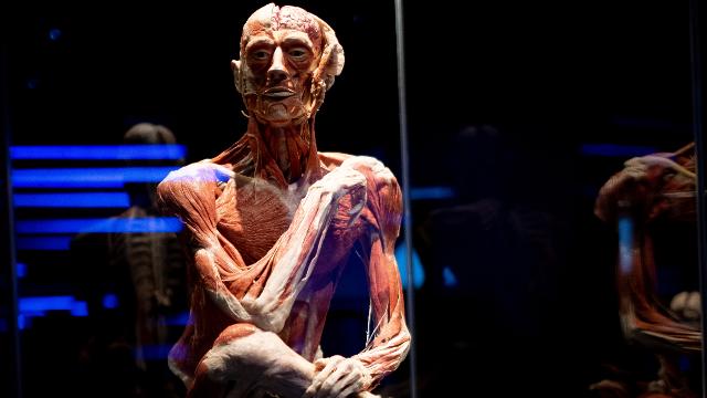 The Ponderer. Photo by Jeff Moore. Image courtesy of Borkowski Arts. A skeleton with part bone part flesh sitting crossed legged with one arm placed in its leg and the other across the shoulder in a pondering stance