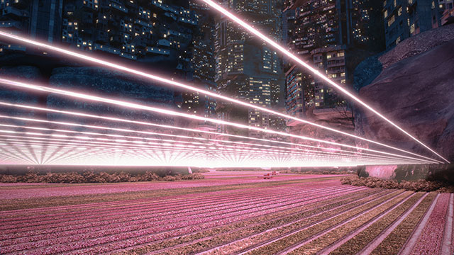A night time scene featuring a pink field of crops under pink rays of light with city skyscrapers in the background.